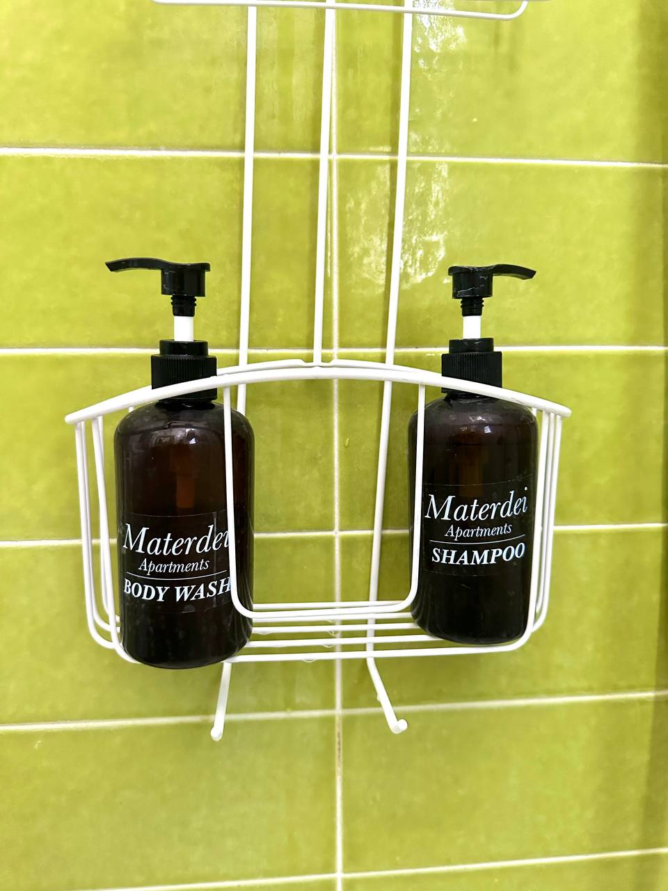 photo_2023-10-24 09.21.06