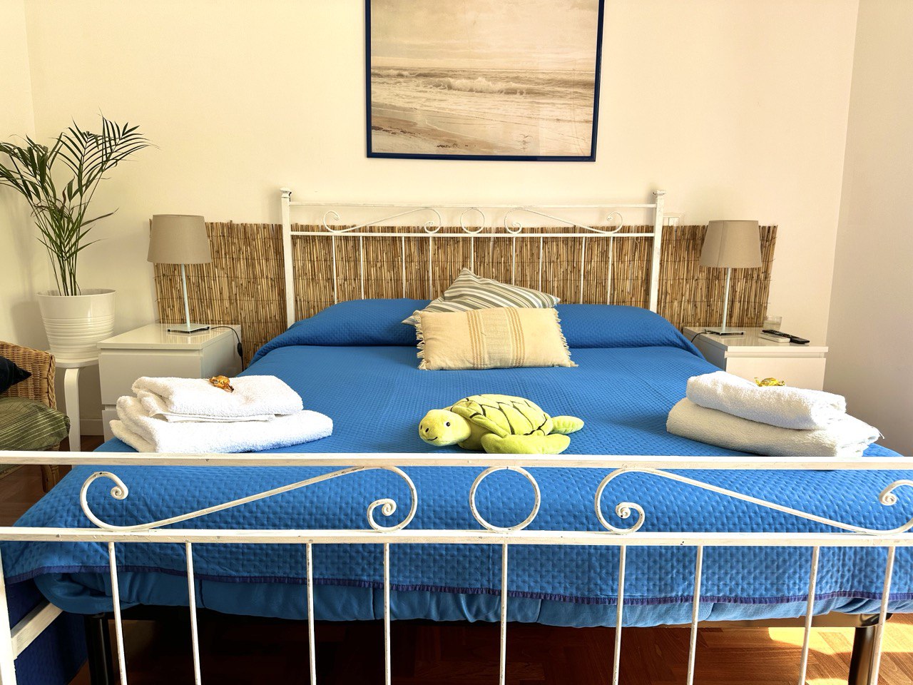 photo_2024-05-28 16.45.20